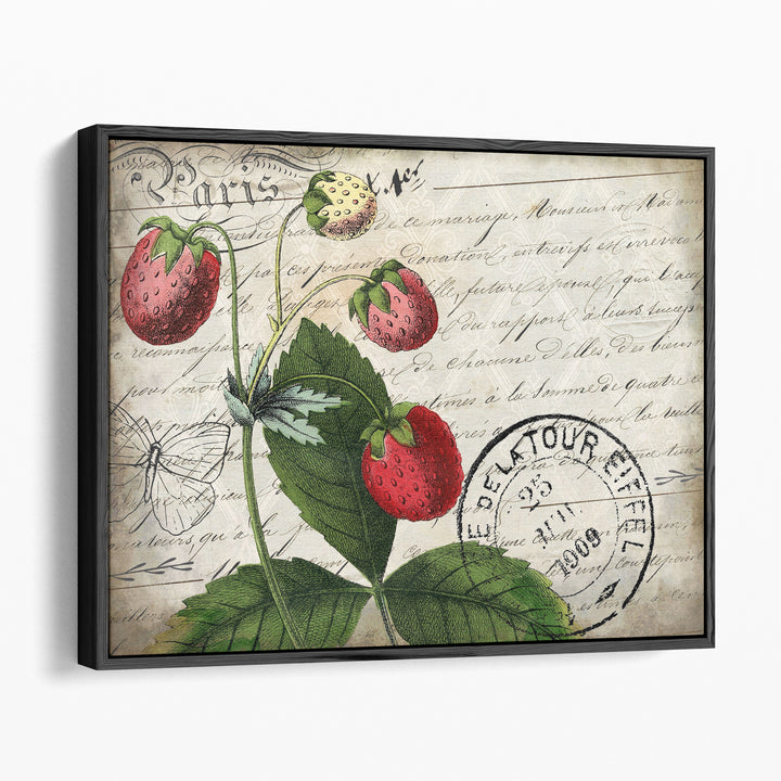 Vintage Strawberry - Canvas Print Wall Art