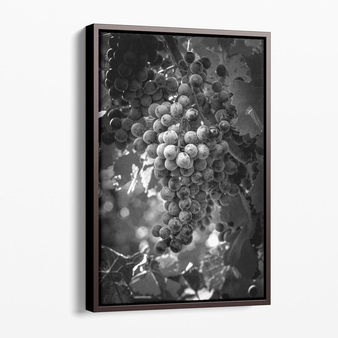 Fruit of The Vine - Canvas Print Wall Art
