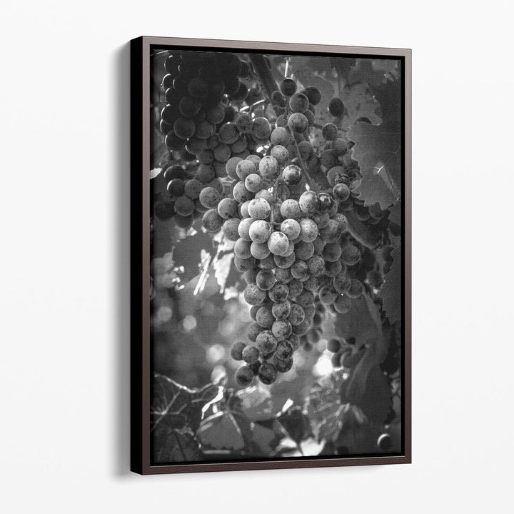 Fruit of The Vine - Canvas Print Wall Art