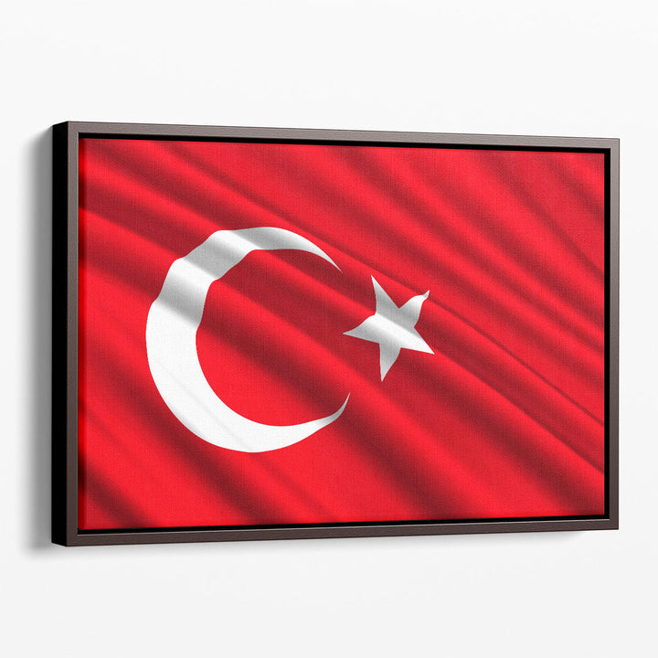 Turkey Flag Waving - Canvas Print Wall Art