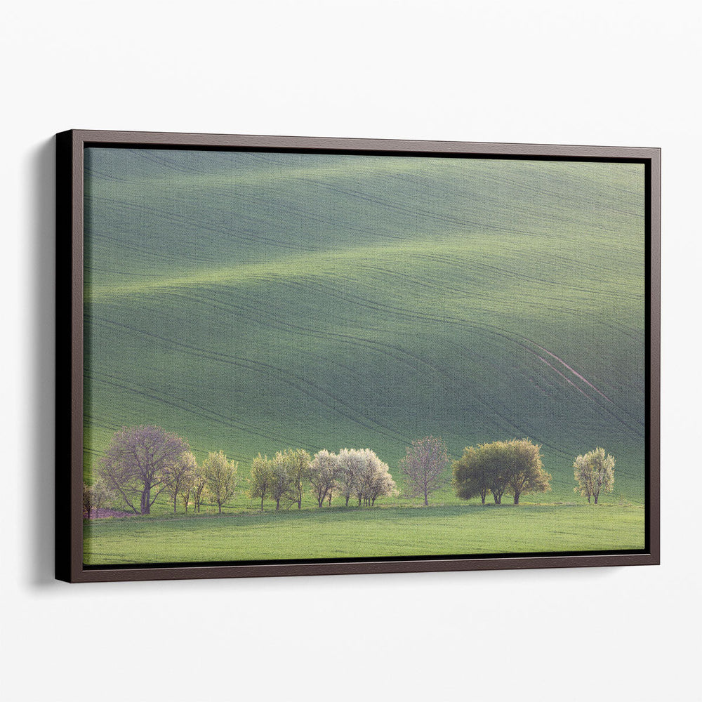 Green and Blossom Trees Overlooking Rolling Hills in Sunset - Canvas Print Wall Art