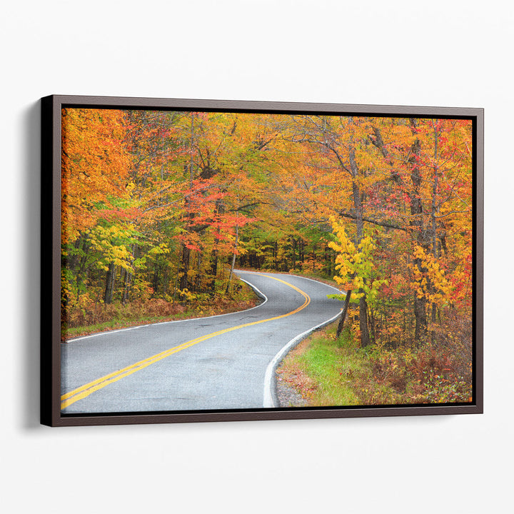 Beautiful Rural Vermont Drive in Autumn Time - Canvas Print Wall Art