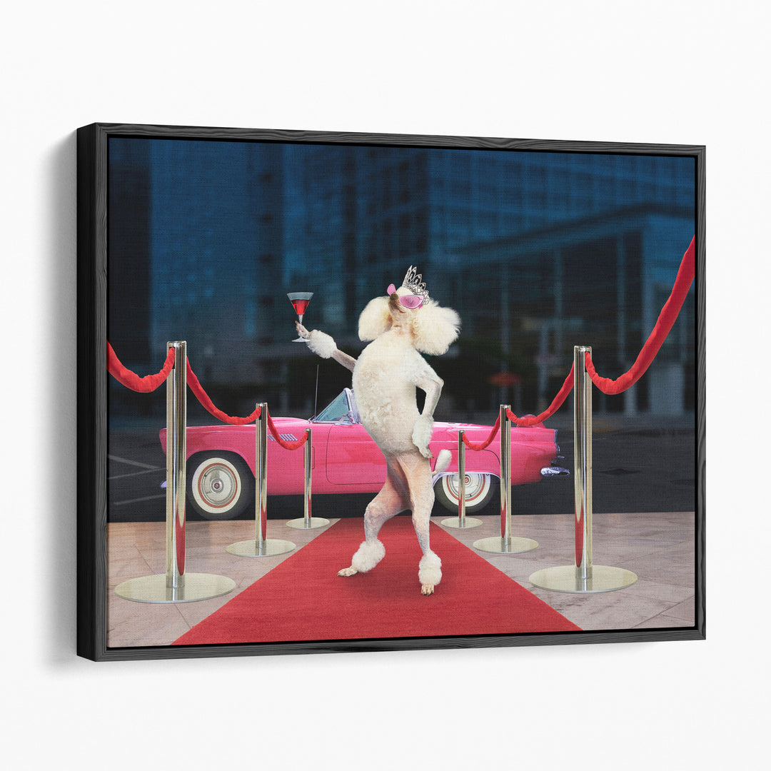 Poodle Premier - Canvas Print Wall Art