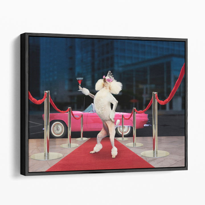 Poodle Premier - Canvas Print Wall Art