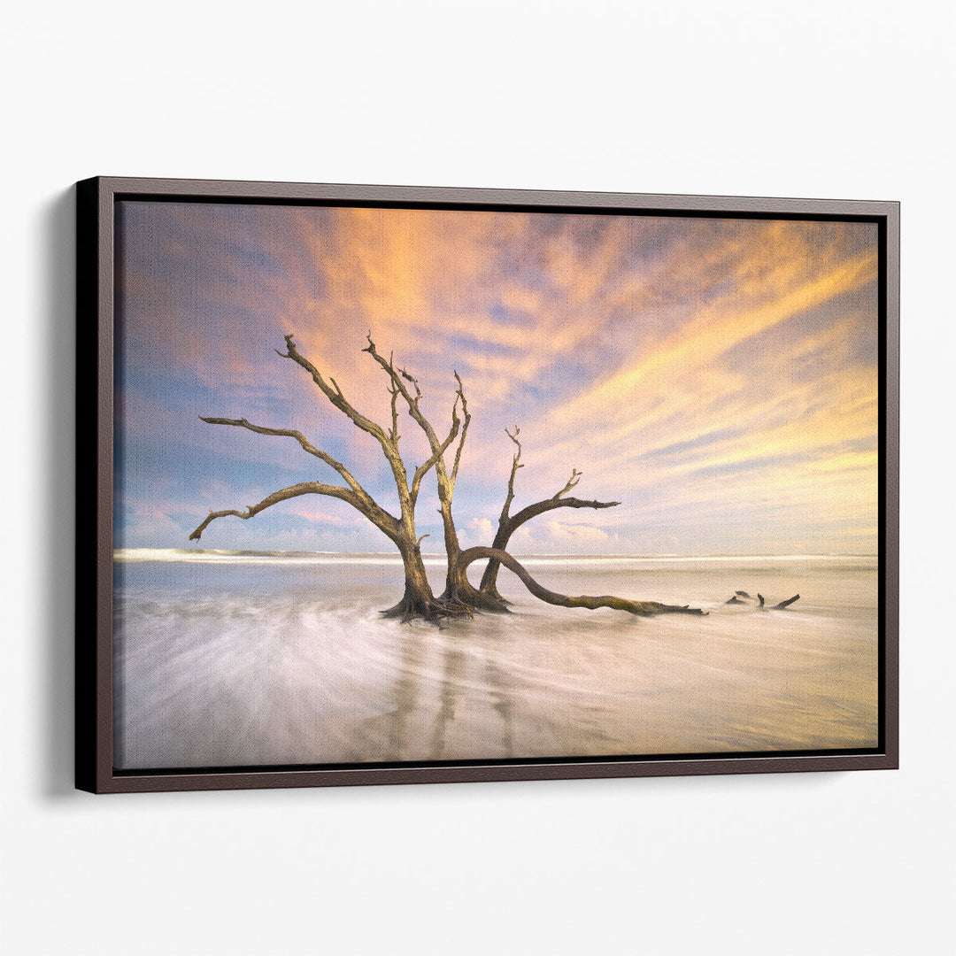 Folly Beach, Dead Tree Driftwood Ocean Sunset Landscape - Canvas Print Wall Art