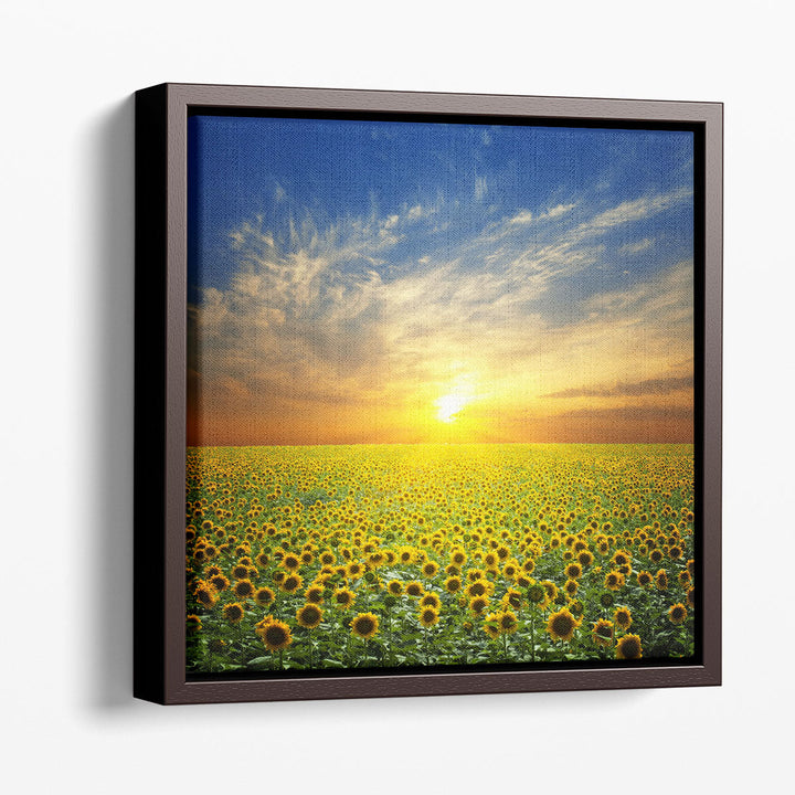 Summer Landscape, Sunset Over Sunflowers Field - Canvas Print Wall Art