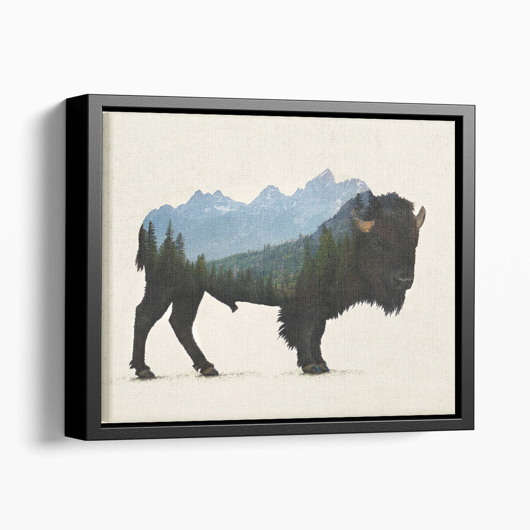 Grand Teton Bison - Canvas Print Wall Art