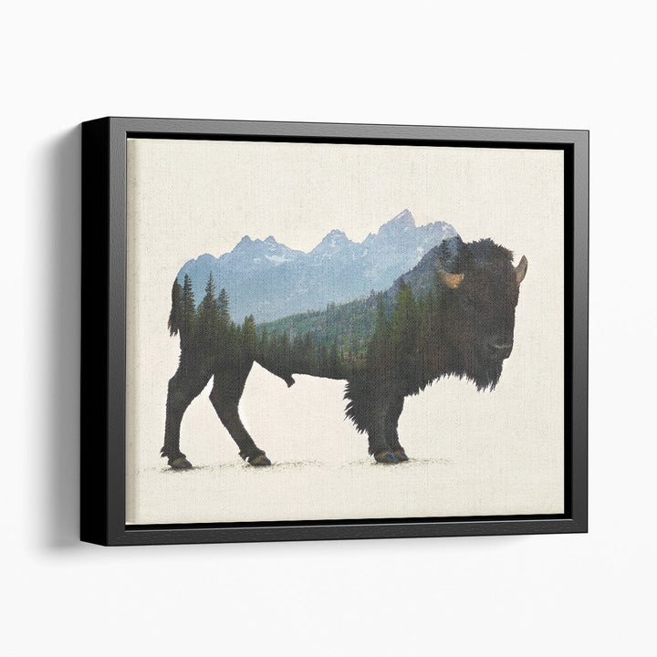 Grand Teton Bison - Canvas Print Wall Art