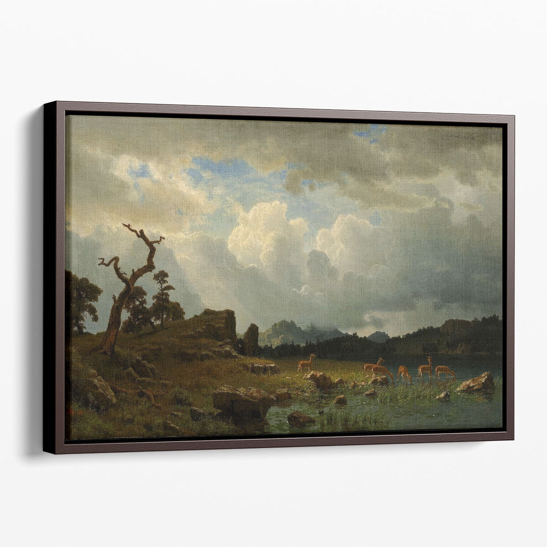 Scenic Animal Canvas Art graceful deer silhouette