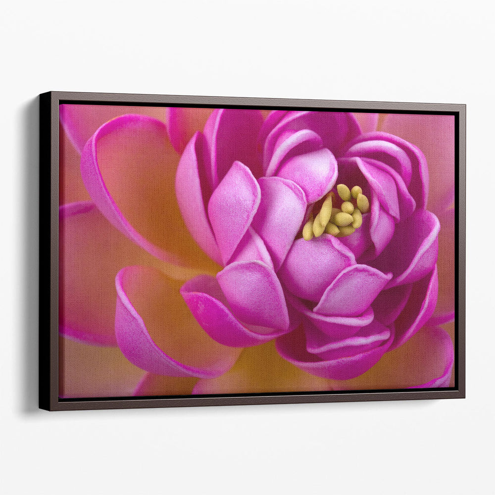 Beautiful Pink Lotus Flower Close-Up - Canvas Print Wall Art