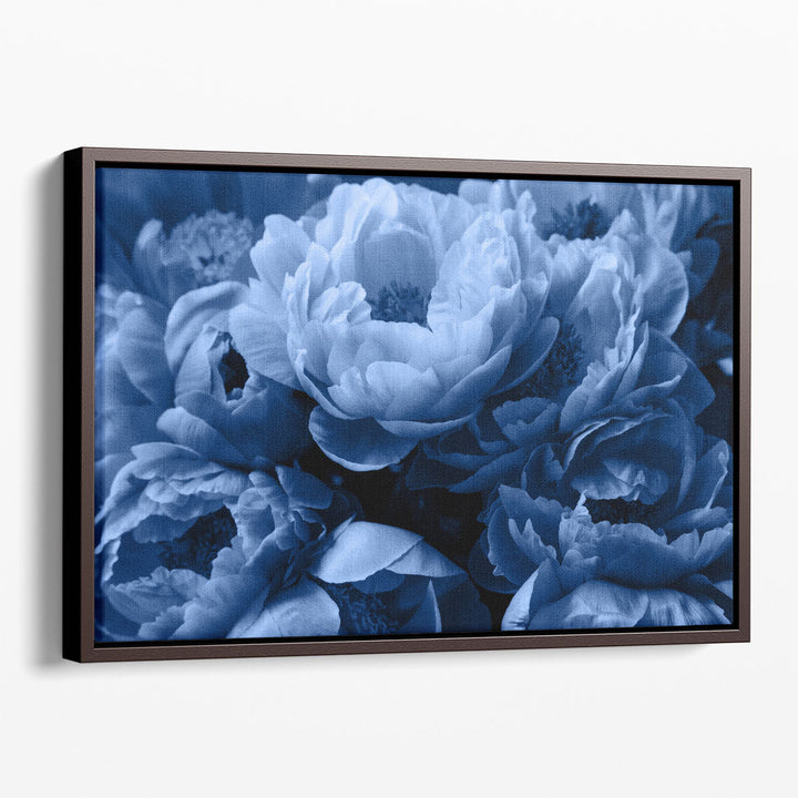 Blue Peony Rose Flowers - Canvas Print Wall Art