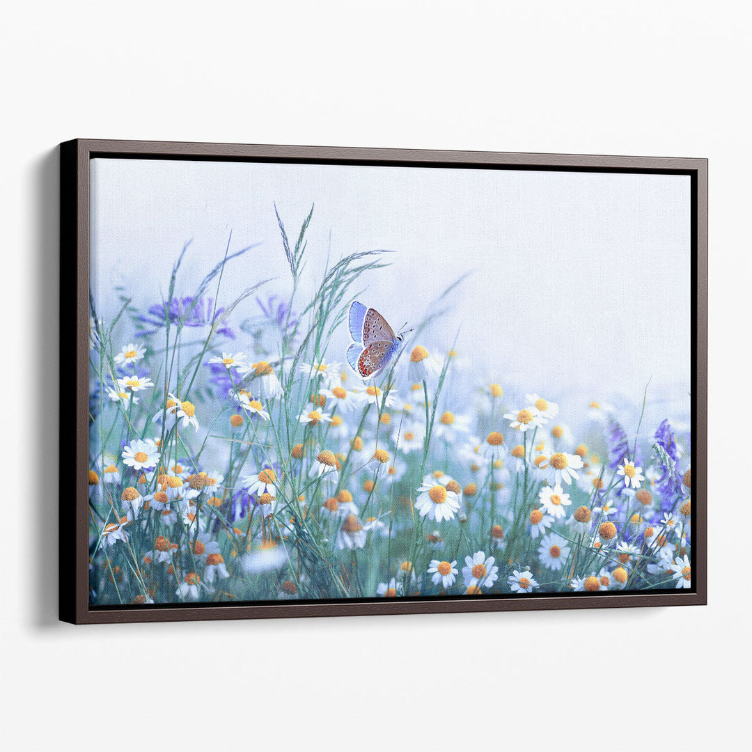 Chamomile, Purple Wild Peas, Butterfly in Morning Haze - Canvas Print Wall Art