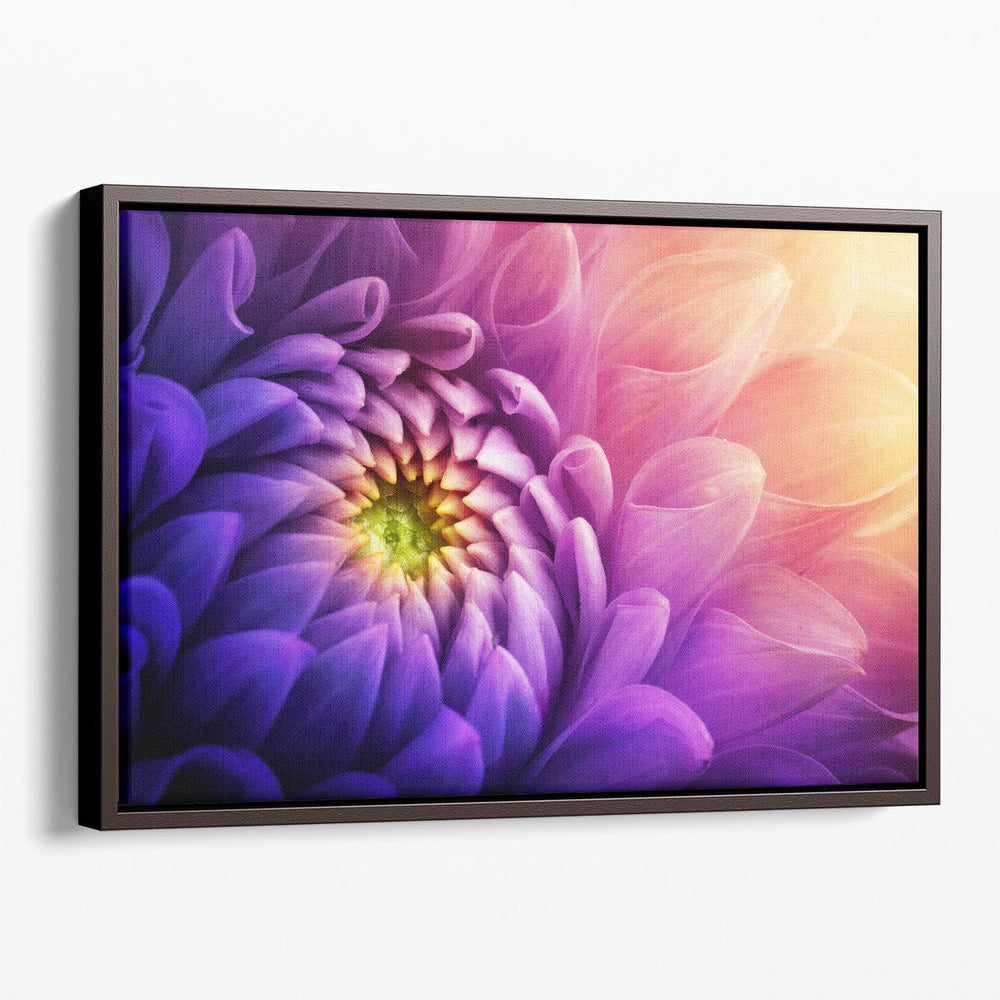 Chrysanthemum Flower Macro Shot - Canvas Print Wall Art