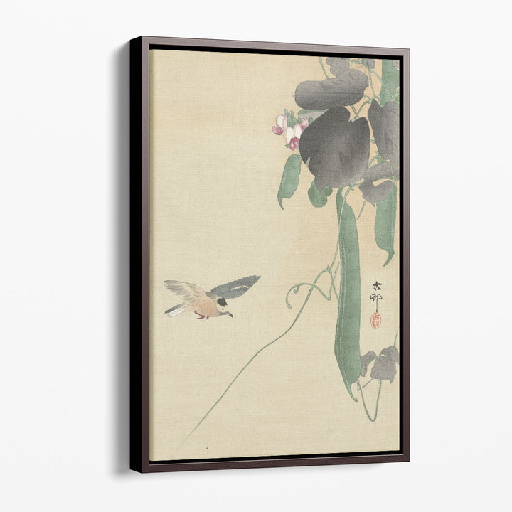Bird at Flowering Bean Plant, 1900 -1930 - Canvas Print Wall Art
