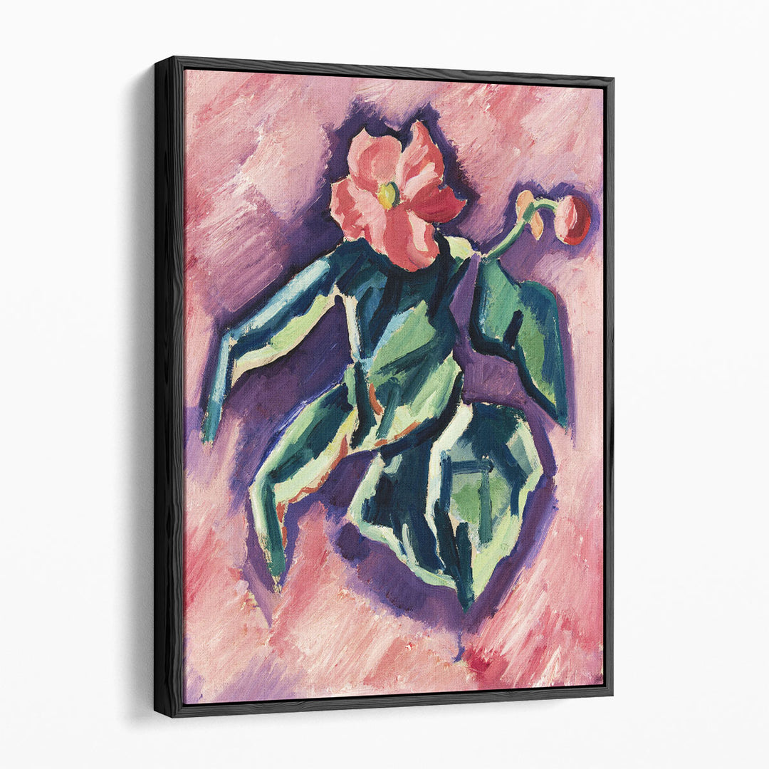 Pink Begonias, 1928-1929 - Canvas Print Wall Art