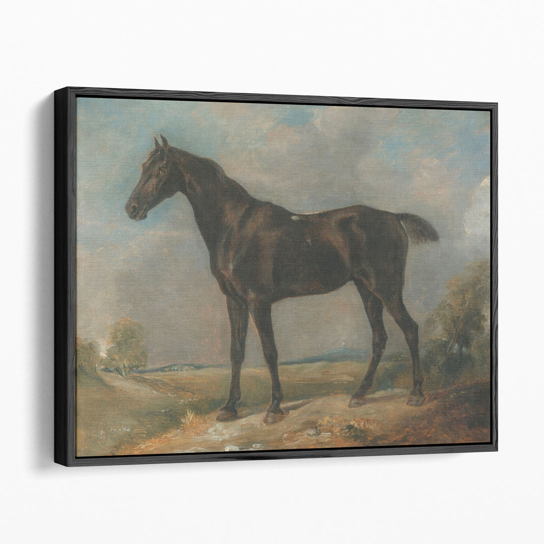 Golding Constable’s Black Riding Horse - Canvas Print Wall Art