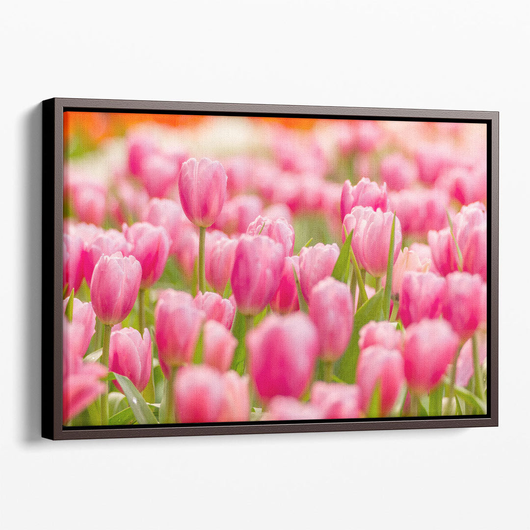 Pink Tulip Flower Field - Canvas Print Wall Art