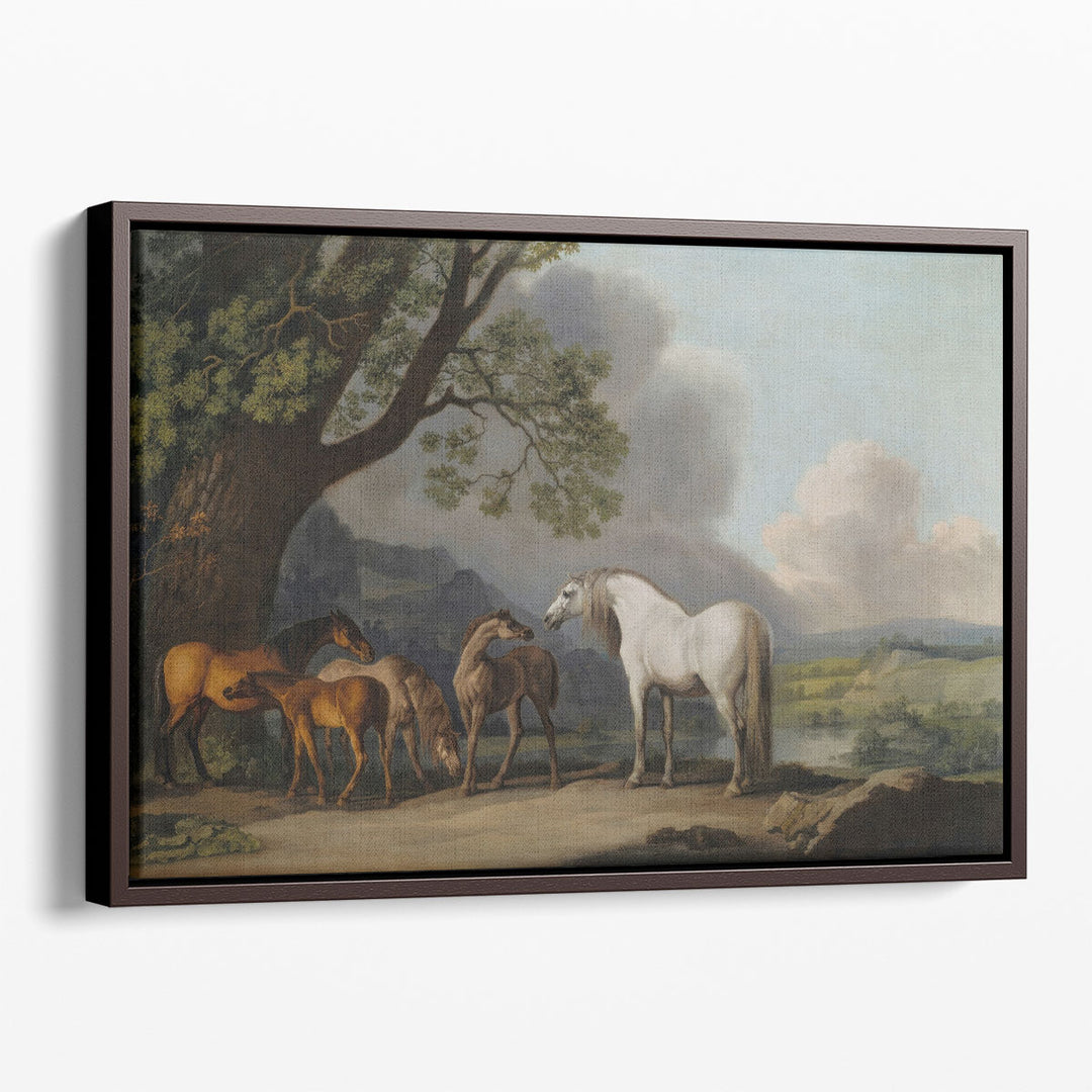 Mares and Foals in an Extensive Landscape - Canvas Print Wall Art