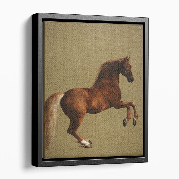 Whistlejacket - Canvas Print Wall Art