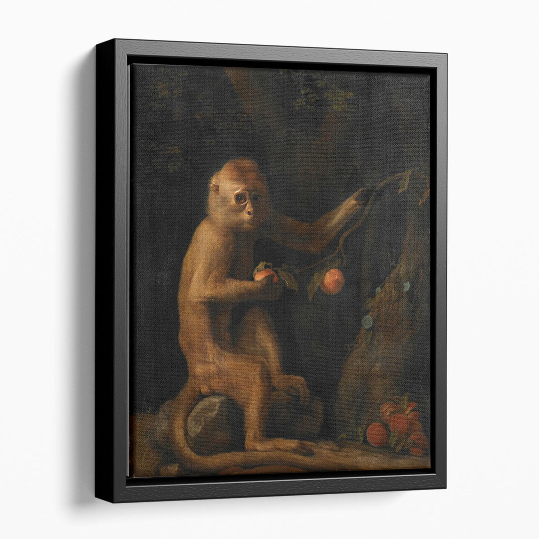A Monkey, 1799 - Canvas Print Wall Art
