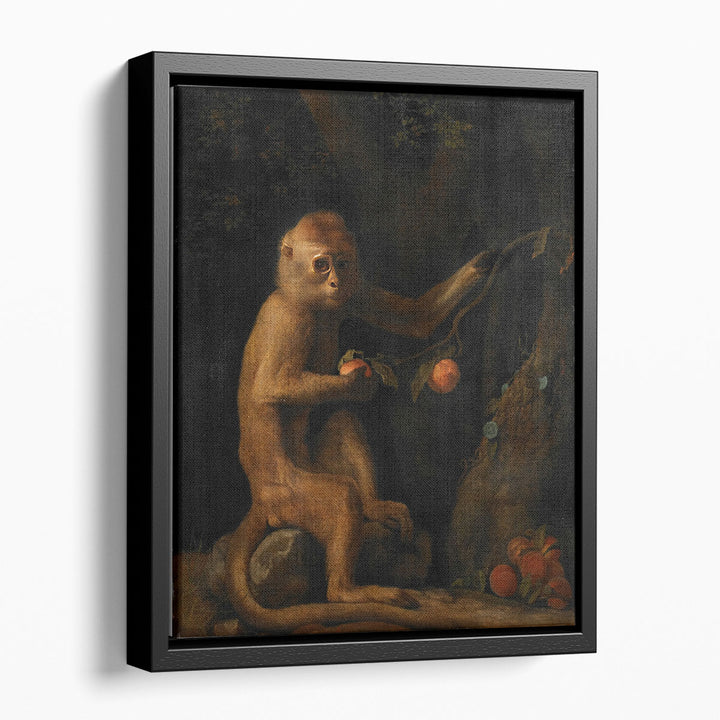 A Monkey, 1799 - Canvas Print Wall Art