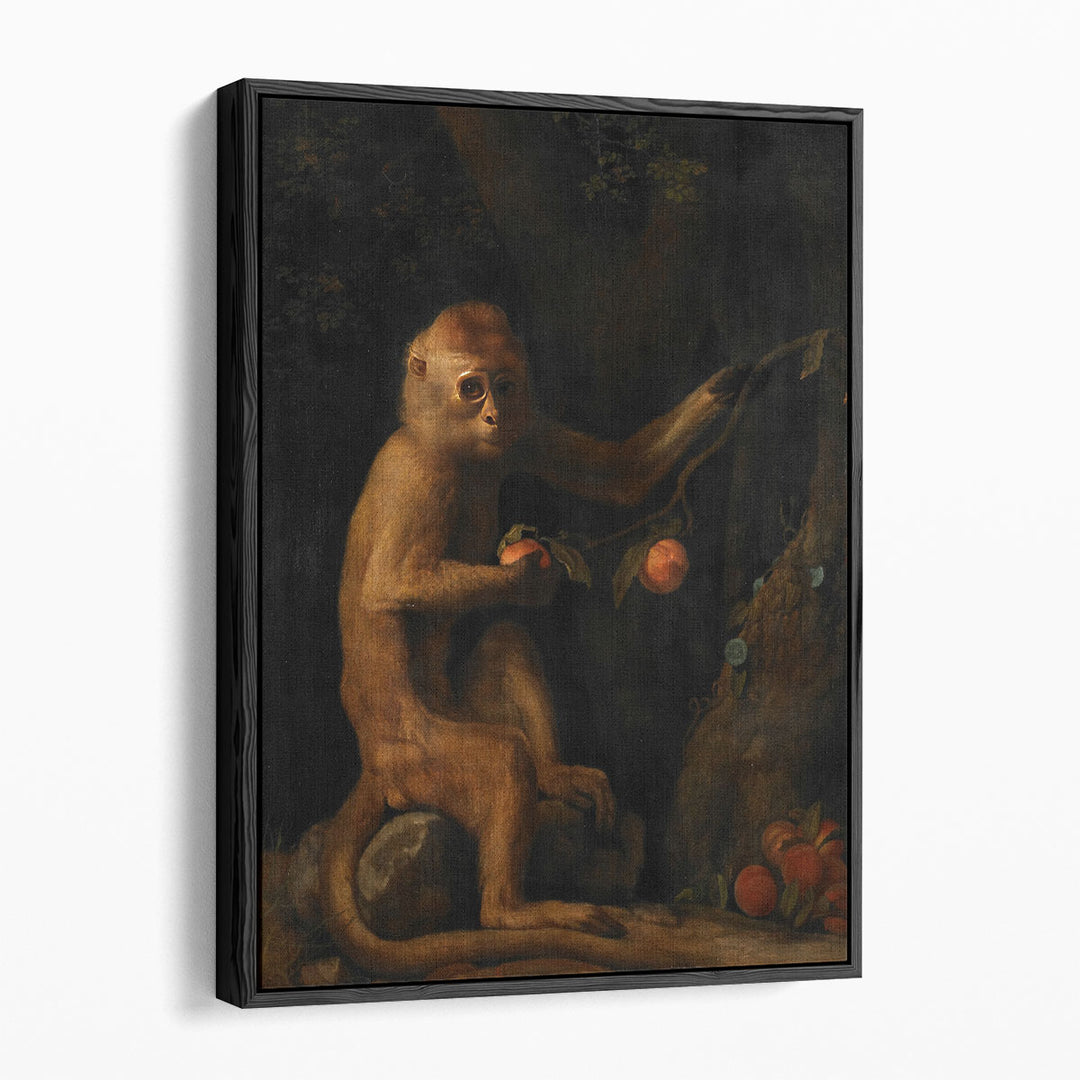 A Monkey, 1799 - Canvas Print Wall Art