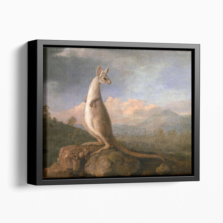 The Kongouro from New Holland - Canvas Print Wall Art