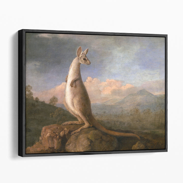 The Kongouro from New Holland - Canvas Print Wall Art