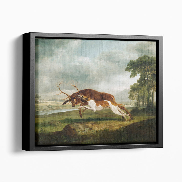 Hound Coursing a Stag, 1762 - Canvas Print Wall Art