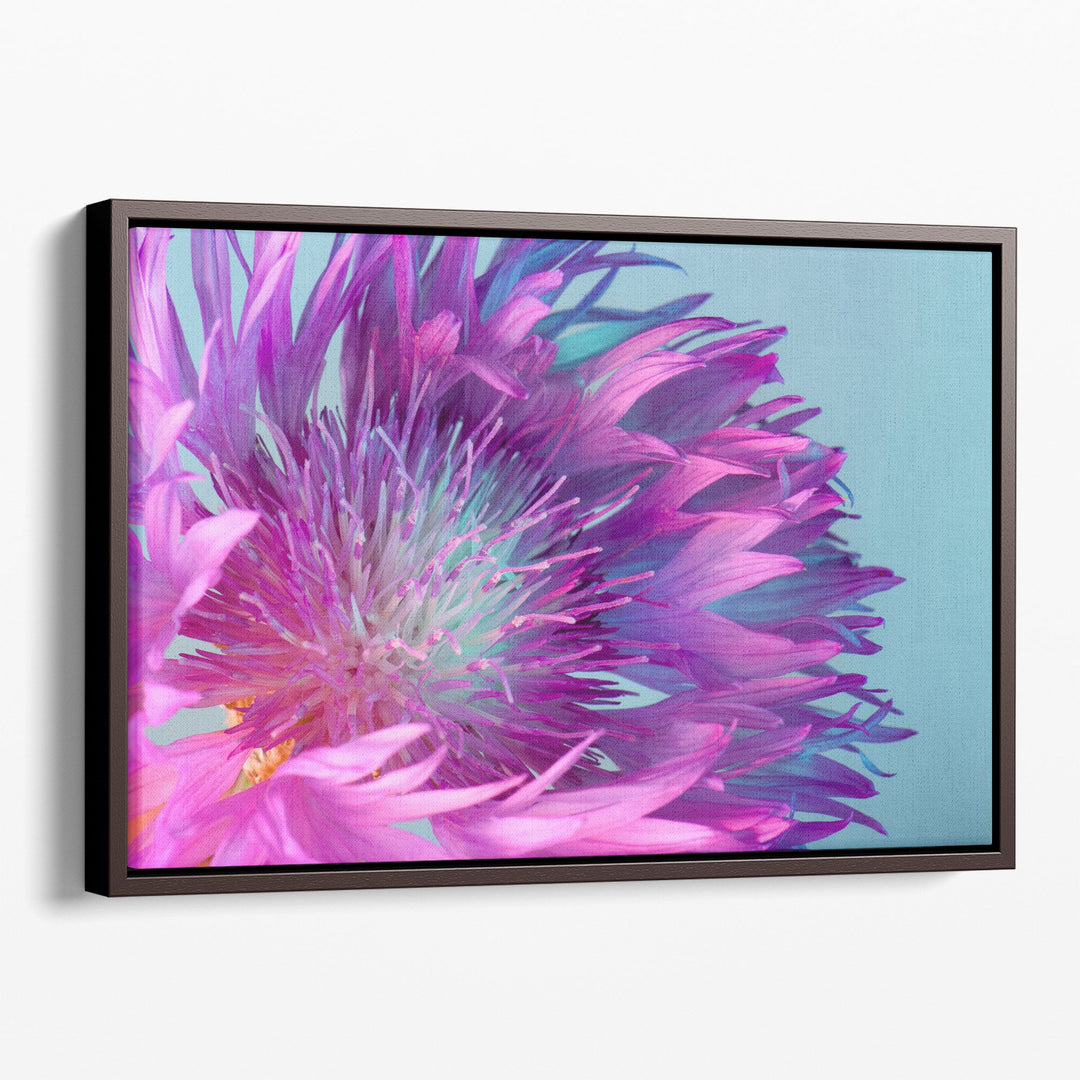 Purple and Turquoise Flower With Sharp Petals Close-Up - Canvas Print Wall Art