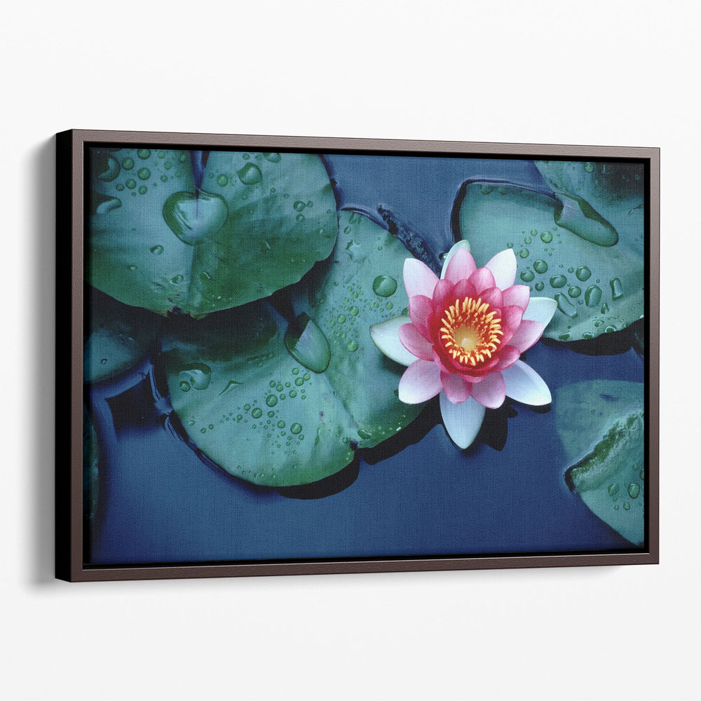 Waterlily or Lotus Flower at Bloom - Canvas Print Wall Art