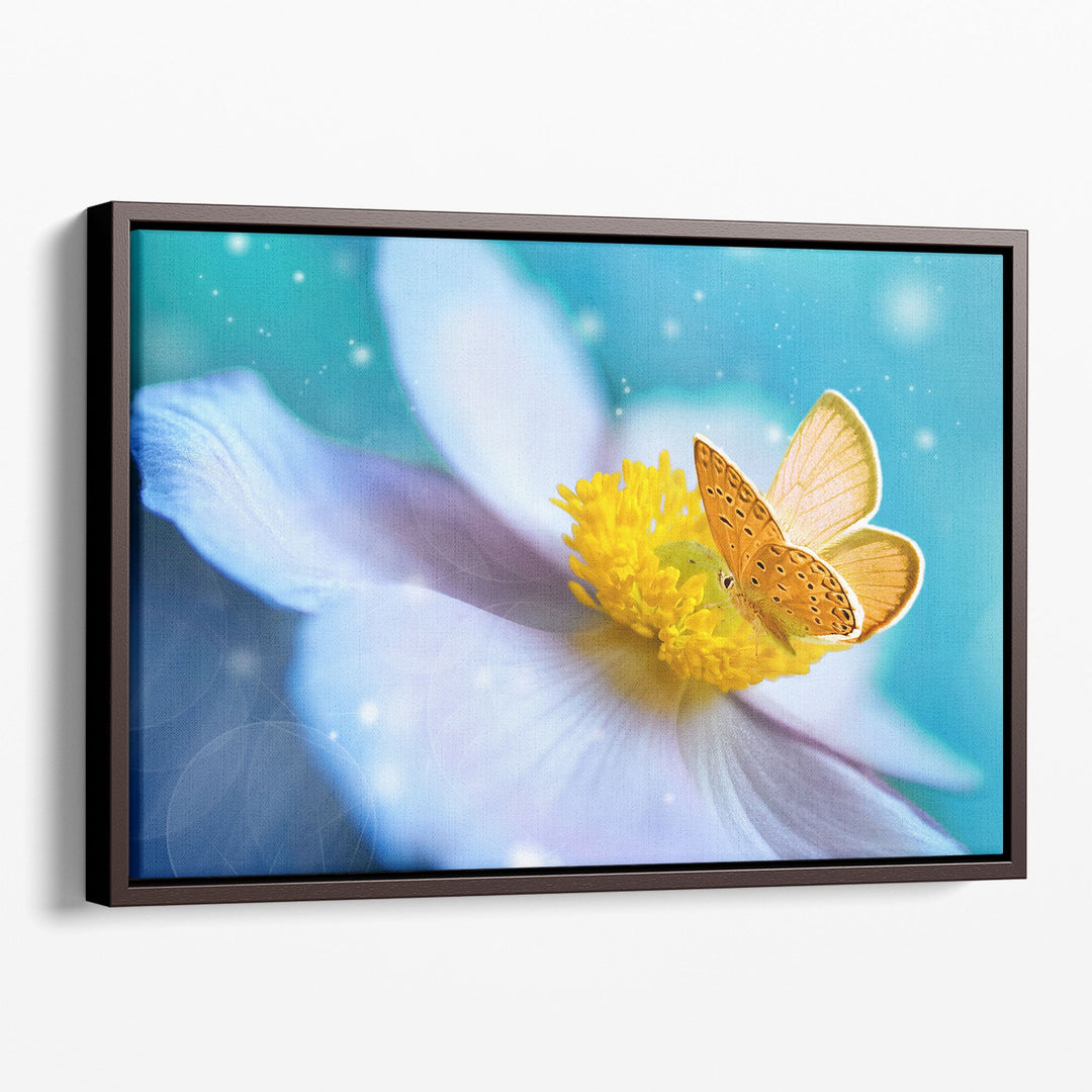 White Anemone Flower With Yellow Stamens and Butterfly - Canvas Print Wall Art