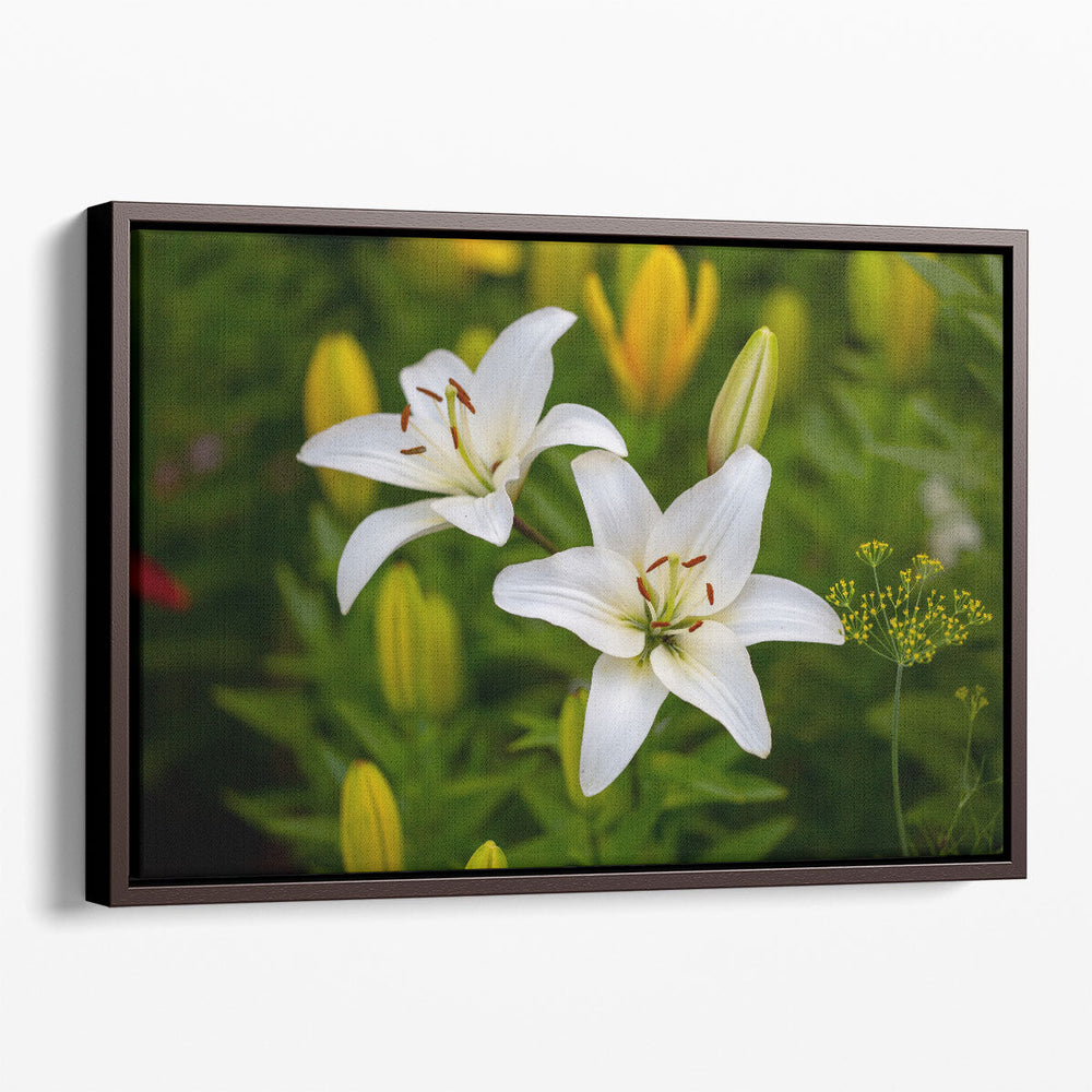 White Lilies Macro Shot - Canvas Print Wall Art