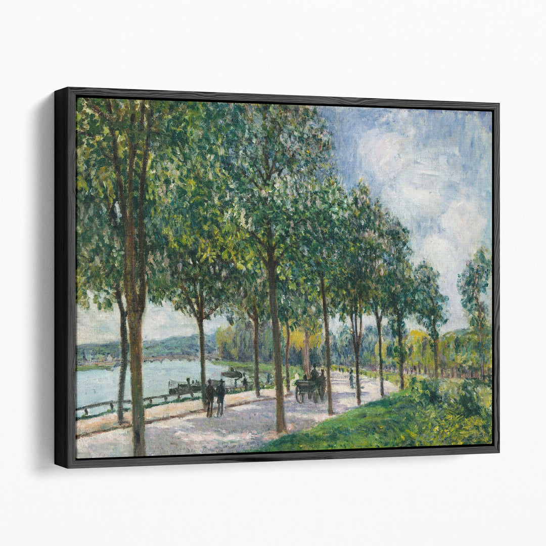 Allwee of Chestnut Trees - Canvas Print Wall Art