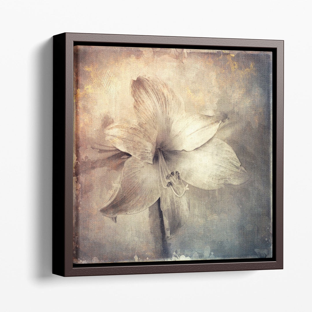 Amaryllis Flower with Artistic Monotone Textures - Canvas Print Wall Art