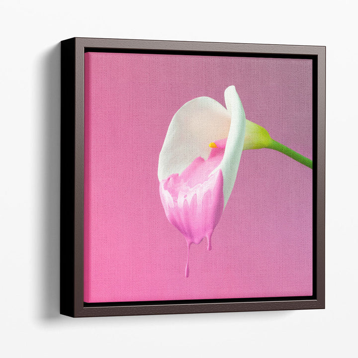 Calla Flower with Dripping Pink Paint - Canvas Print Wall Art