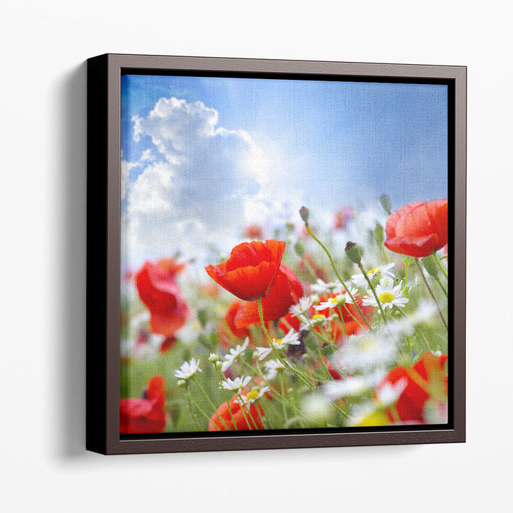 Poppy Flowers and The Sky - Canvas Print Wall Art