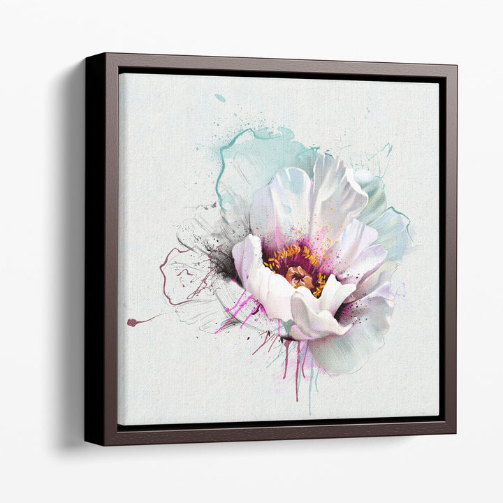 White Poppy Closeup and Watercolors - Canvas Print Wall Art