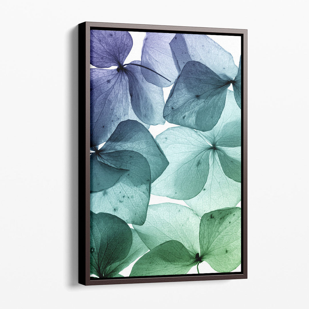 Turquoise Flower Petal Abstract Art - Canvas Print Wall Art