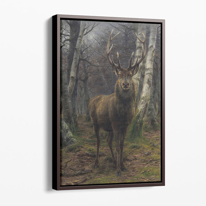 King of the Forest - Canvas Print Wall Art