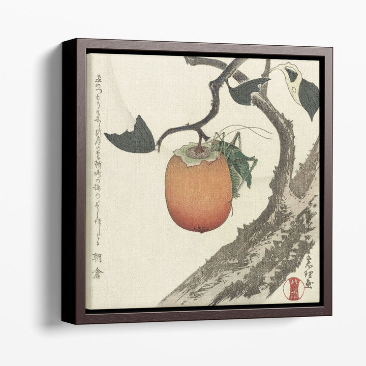 Kakivrucht Met Sprinkhaan - Canvas Print Wall Art