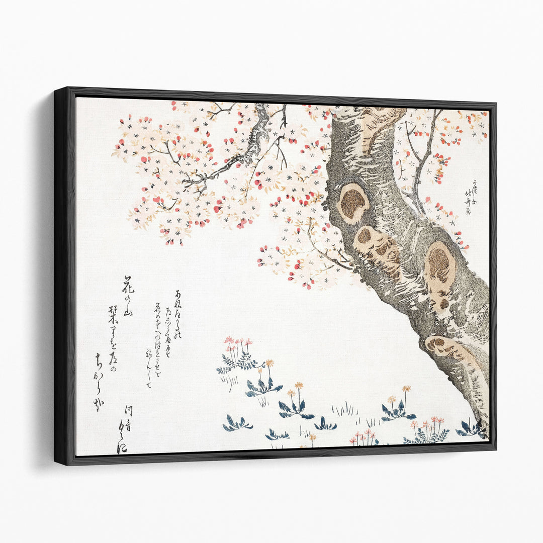 Cherry Tree - Canvas Print Wall Art