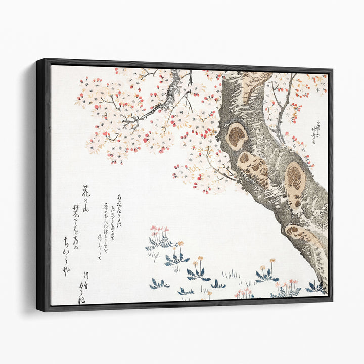 Cherry Tree - Canvas Print Wall Art