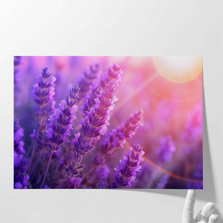 Lavenders Closeup - Canvas Print Wall Art