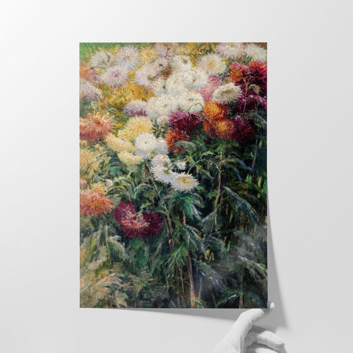 Chrysanthemums in the Garden at Petit Gennevilliers - Canvas Print Wall Art