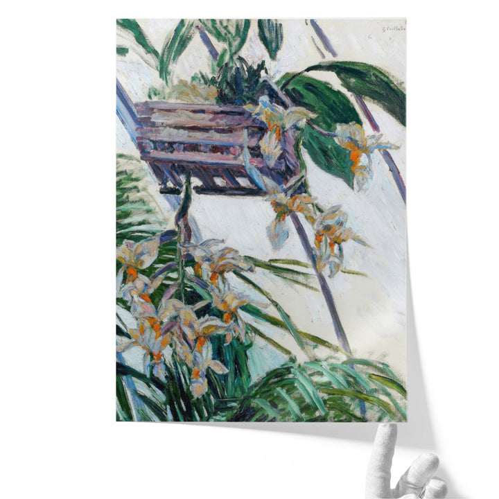 Orchids Gustave Caillebotte - Canvas Print Wall Art