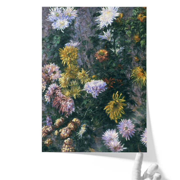 White and Yellow Chrysanthemums, 1893 - Canvas Print Wall Art
