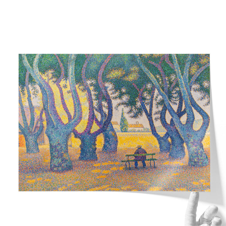 Place des Lices - Canvas Print Wall Art