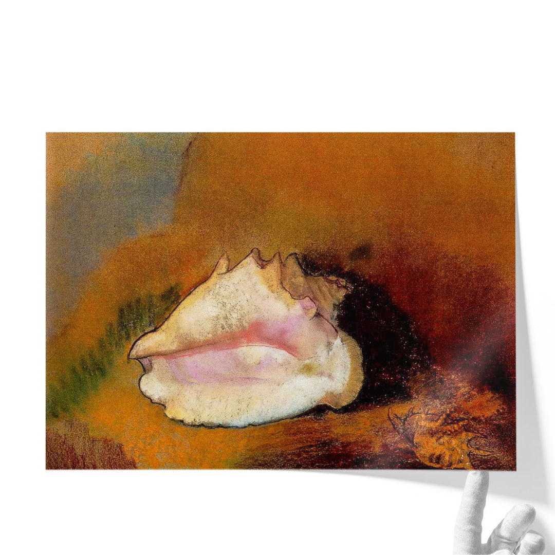 Coquille, 1912 - Canvas Print Wall Art