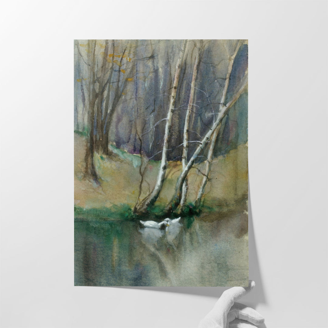 Wood Scene with Birch Trees and Ducks - Canvas Print Wall Art